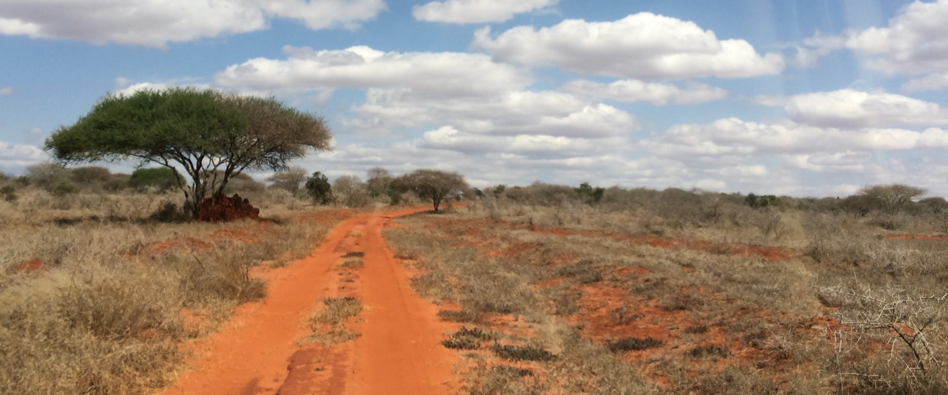 2 Days Safari Tsavo East National Park