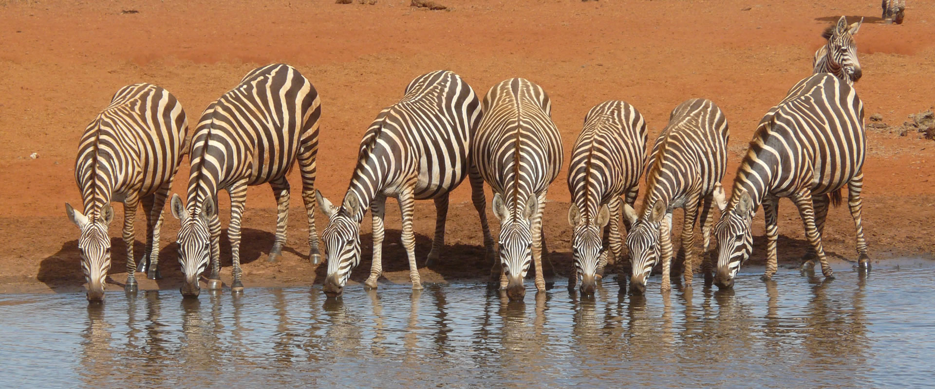2 Days Safari Tsavo East National Park