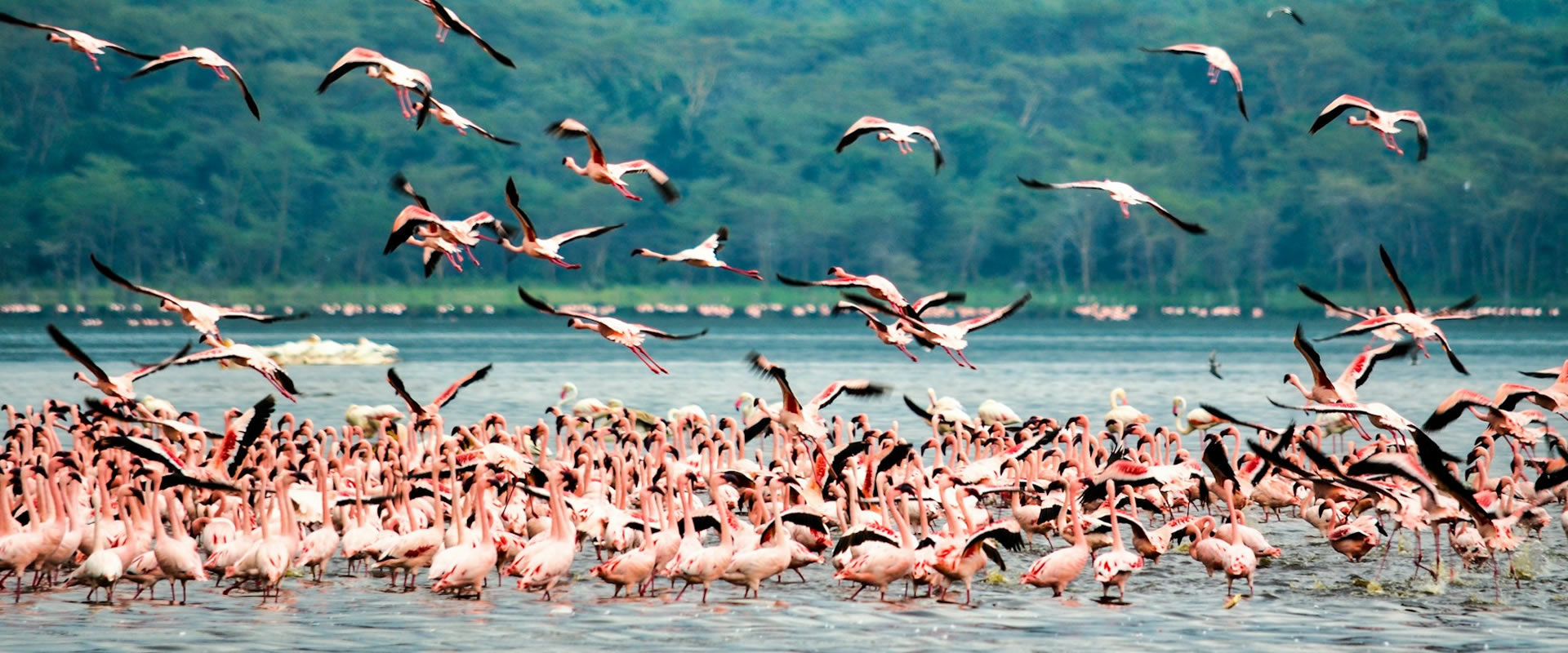 Lake Nakuru National Park