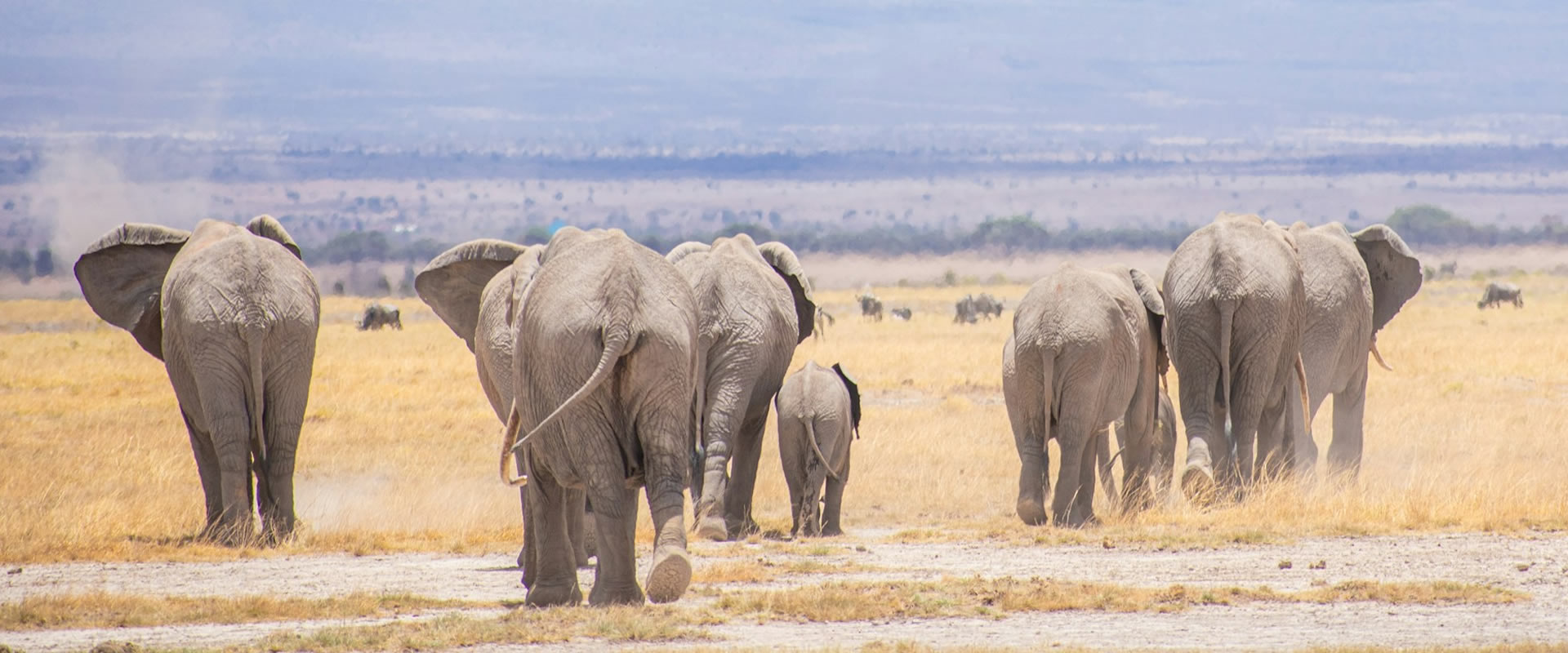Amboseli – Mombasa