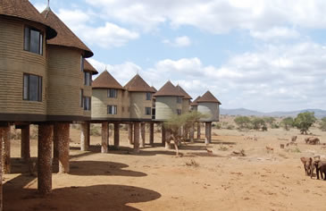 Tsavo East - Saltlick