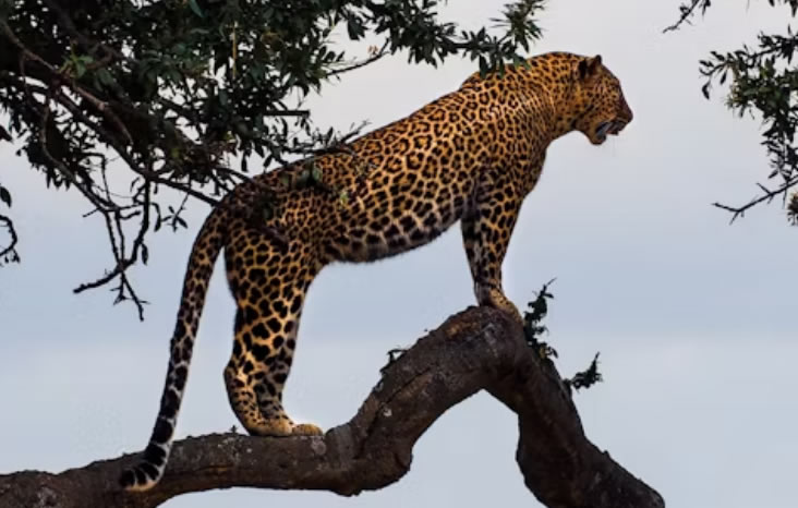 Lake Nakuru – Nairobi
