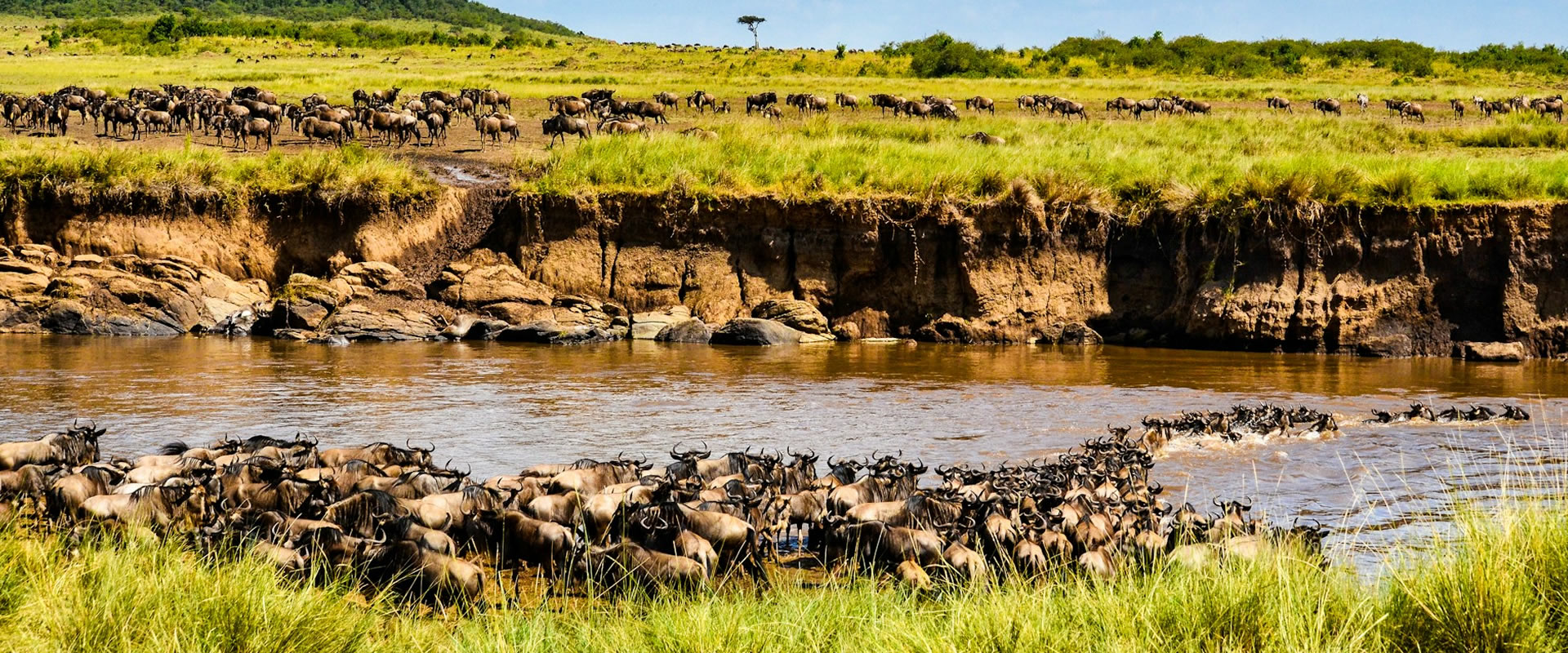 3 Days Safari To Masai Mara National Reserve