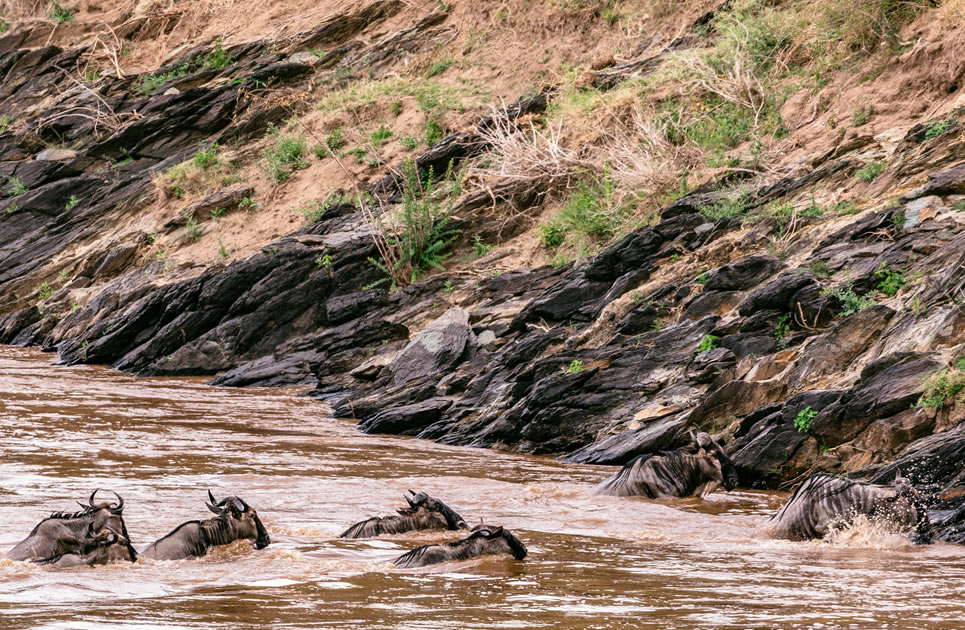 Maasai Mara National Reserve