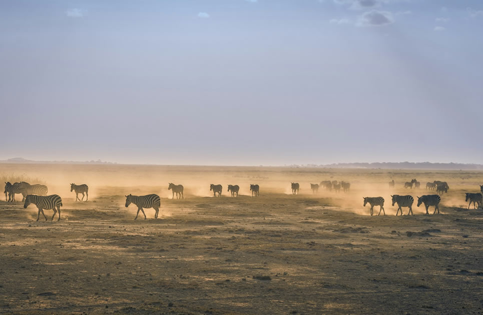 3 Days Safari To Masai Mara National Reserve