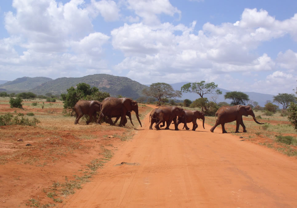 Tsavo west National Park