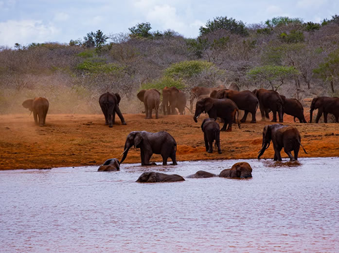 Tsavo West – Amboseli
