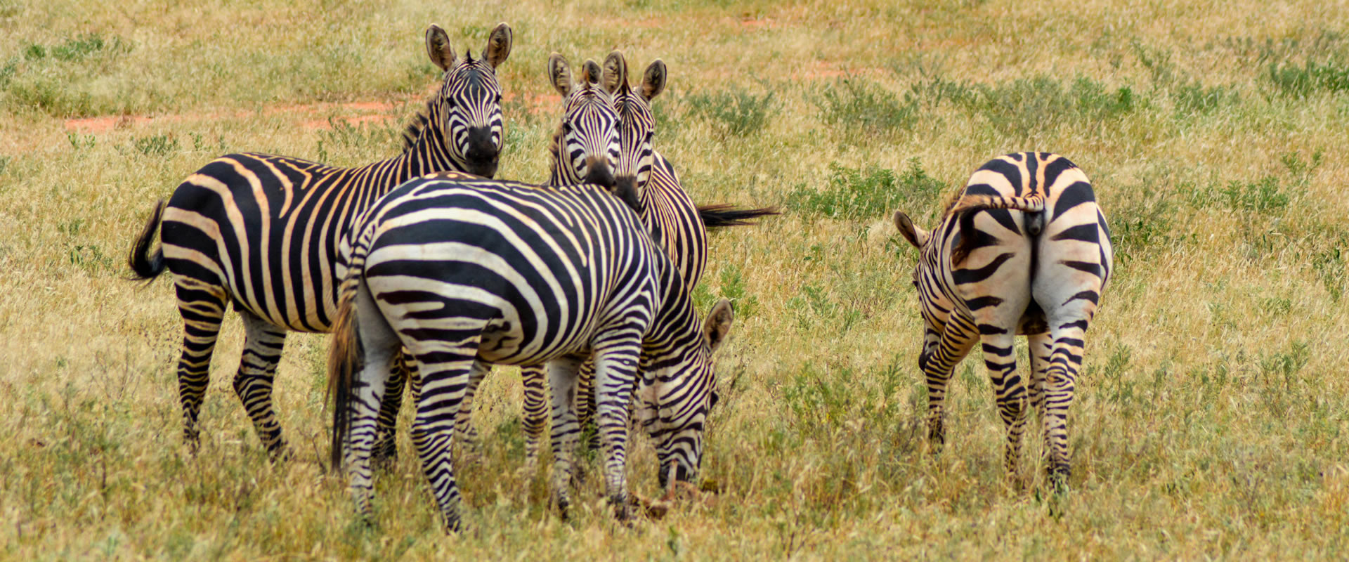 4 Days Tsavo West, Amboseli & Tsavo East