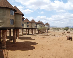 Amboseli – Taita Hills (Saltlick)