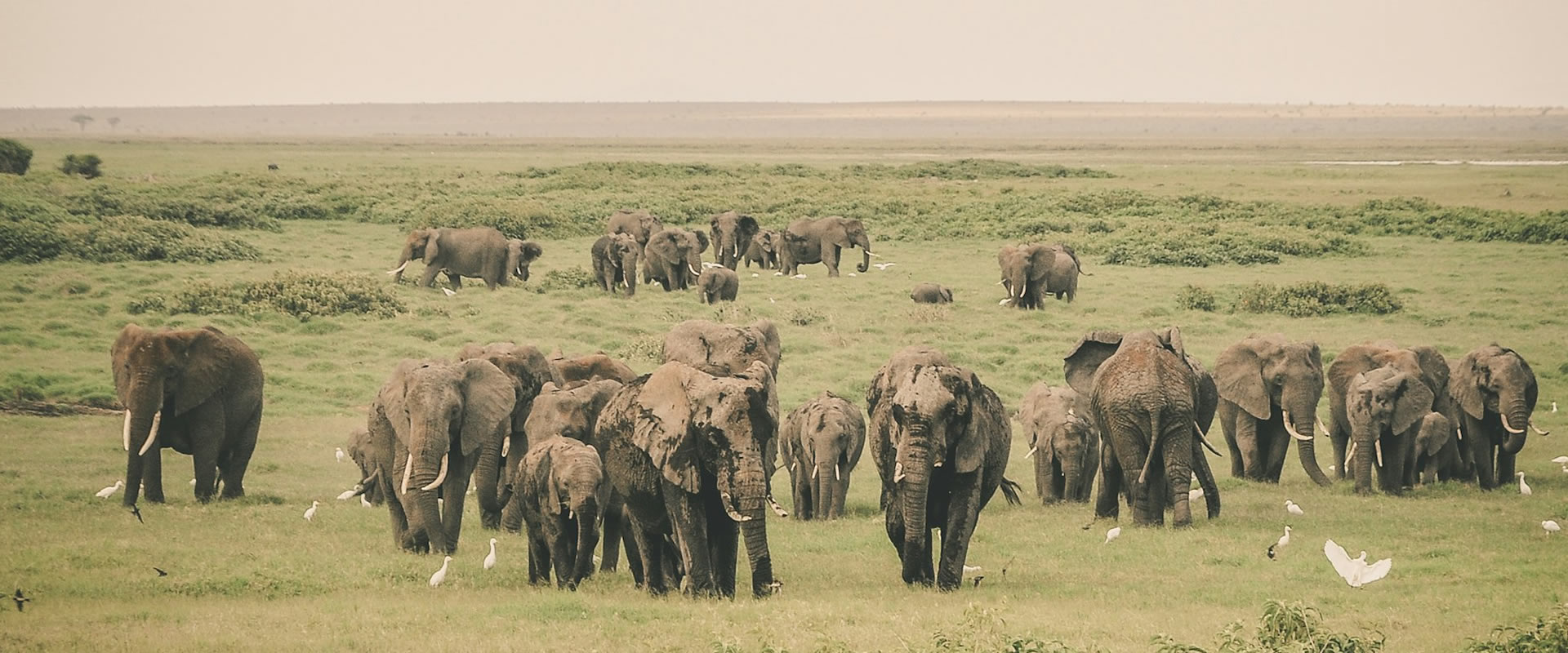 Lake Naivasha National Park