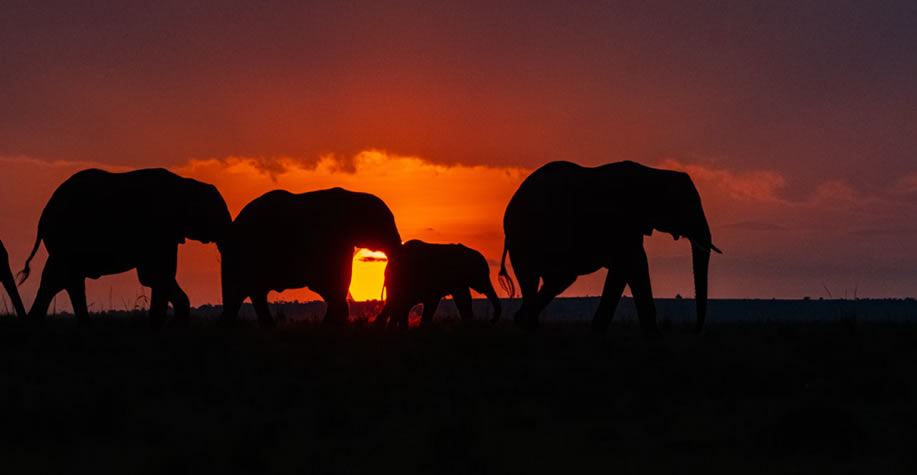 Samburu - Aberdares