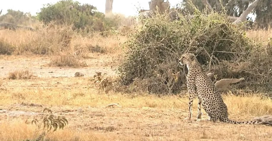 Maasai Mara National Reserve