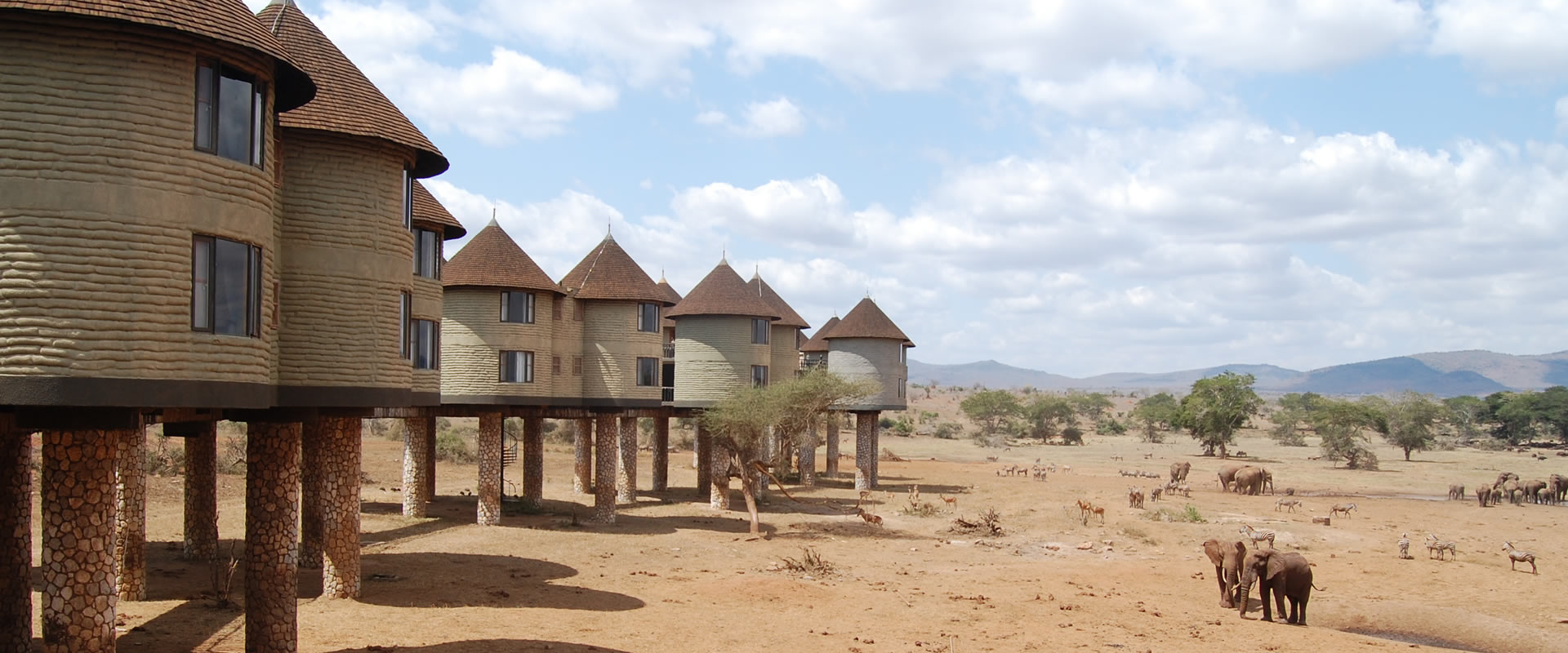 Taita Hills (Salt lick) Wildlife Sanctuary