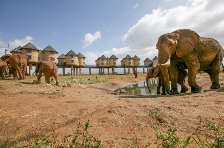 Taita Hills (Salt lick) Wildlife Sanctuary